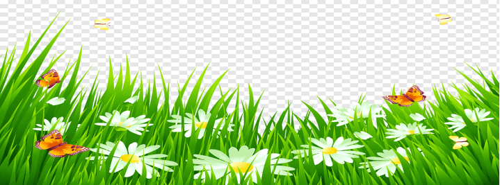 Цветок, трава с белыми цветами, бабочки летающие на цветы, лист,  компьютерные обои, газон png | PNGWing